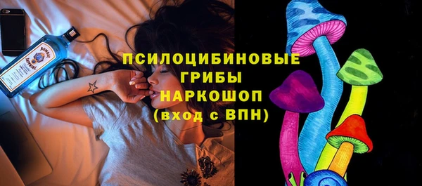 apvp Балахна