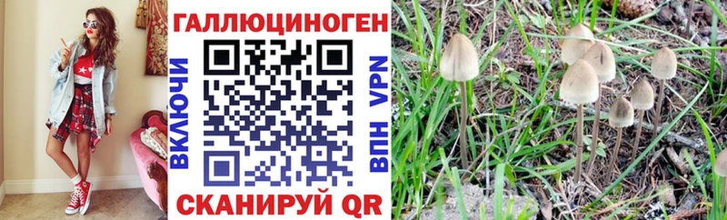 Галлюциногенные грибы ЛСД  Купить где  Снежинск 